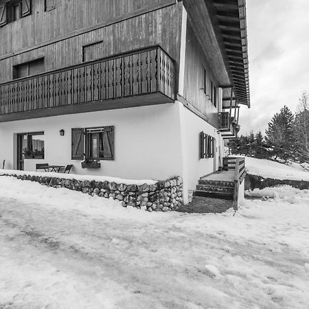 Ca' Dello Scoiattolo Daire Cortina dʼAmpezzo Dış mekan fotoğraf