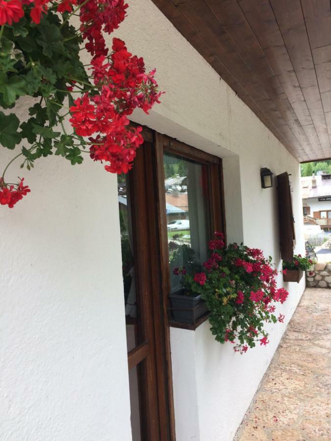 Ca' Dello Scoiattolo Daire Cortina dʼAmpezzo Dış mekan fotoğraf